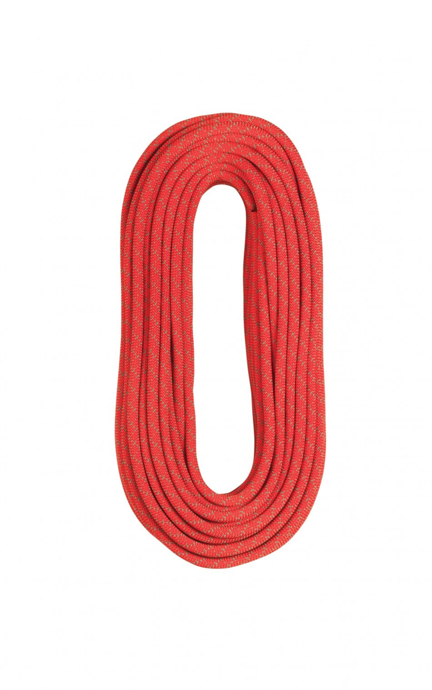 Lina dynamiczna SAMBA 10.5 mm