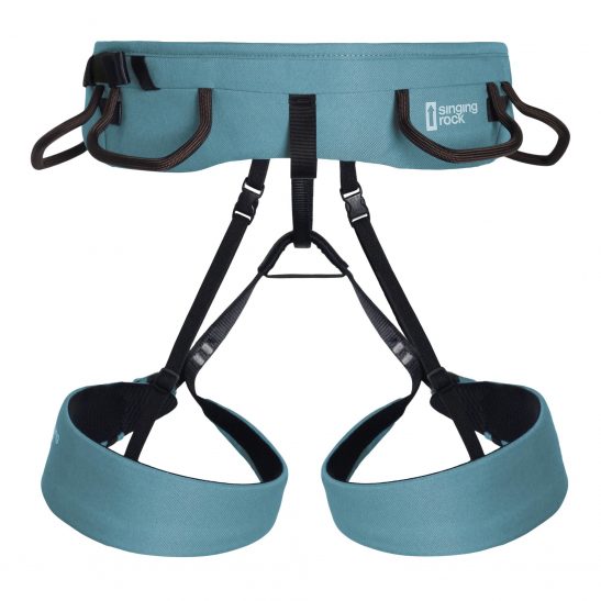 Alternative view of UPRZĄŻ GARNET 2024 (spruce blue)